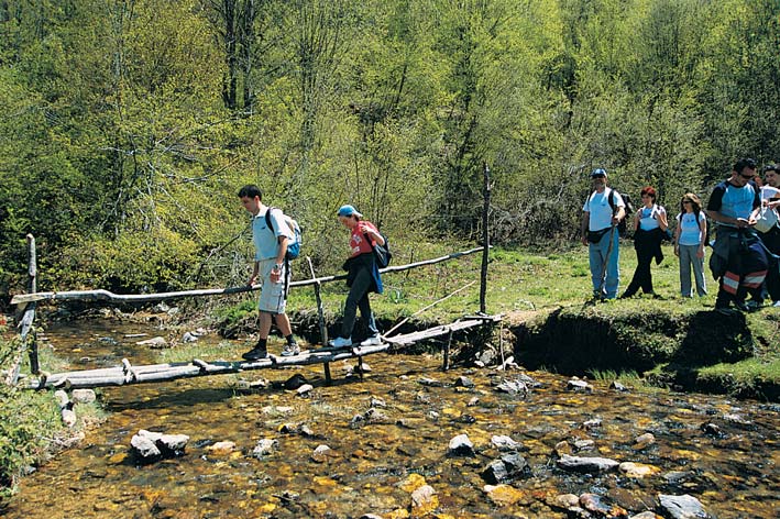 aytepe menekse yaylasi Yuvacık Mavi Kayalar Kahvaltı Restoran