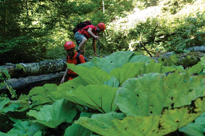 bickidere sogukdere aytepe Yuvacık Mavi Kayalar Kahvaltı Restoran