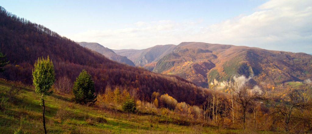 cuneyt orman Yuvacık Mavi Kayalar Kahvaltı Restoran