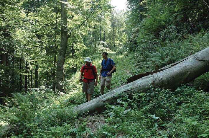 degirmenduzu aytepe degirmenduzu Yuvacık Mavi Kayalar Kahvaltı Restoran