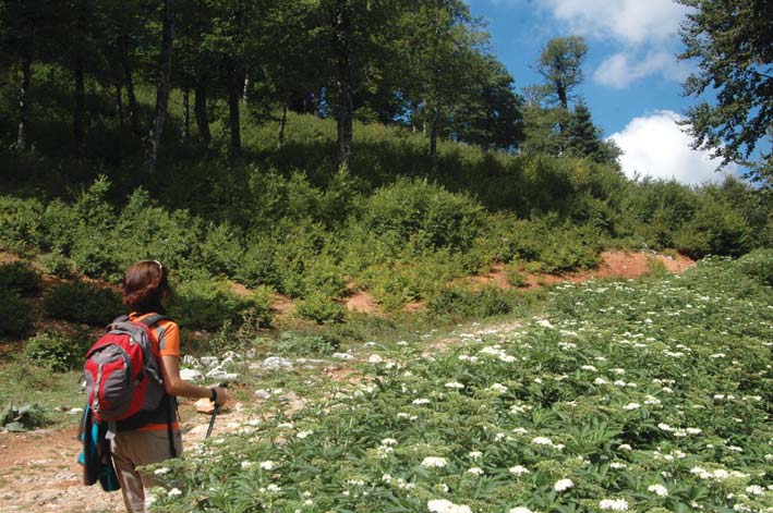 hamzadagi Yuvacık Mavi Kayalar Kahvaltı Restoran