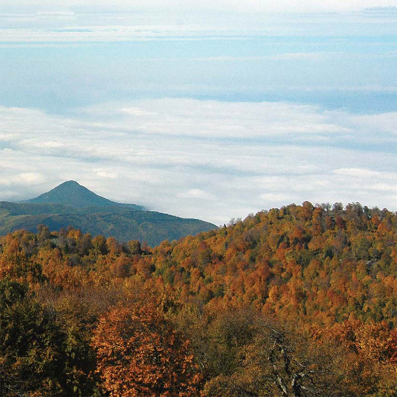 kocaeli sonbahar Yuvacık Mavi Kayalar Kahvaltı Restoran