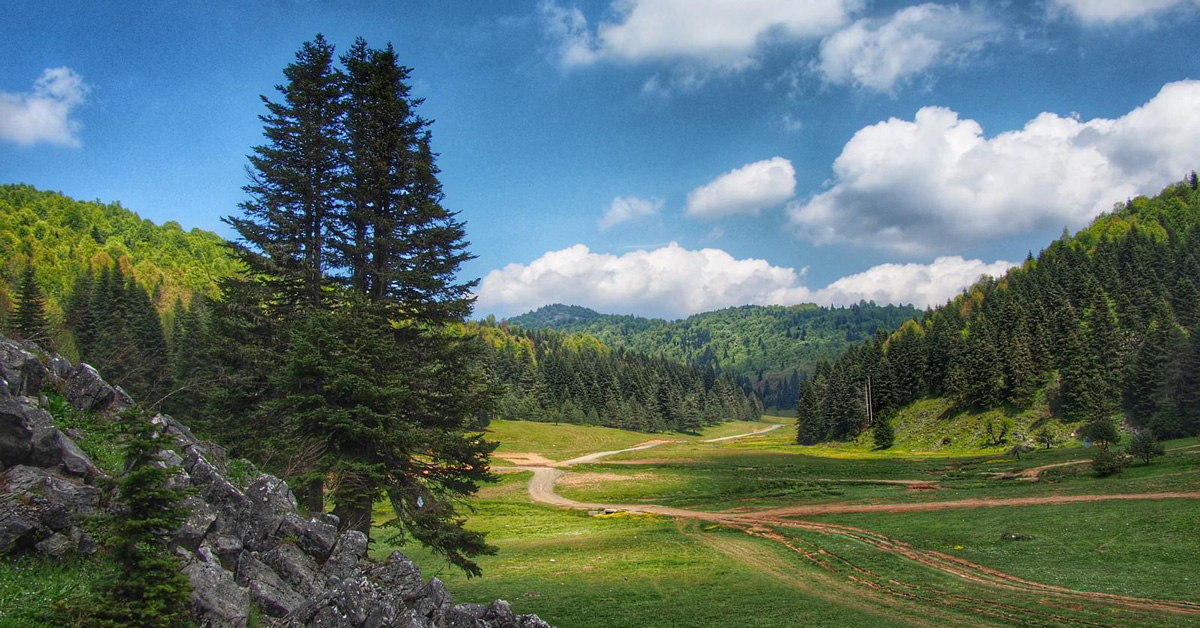 kocaeli tabiat parklari 1200x628 1 Yuvacık Mavi Kayalar Kahvaltı Restoran