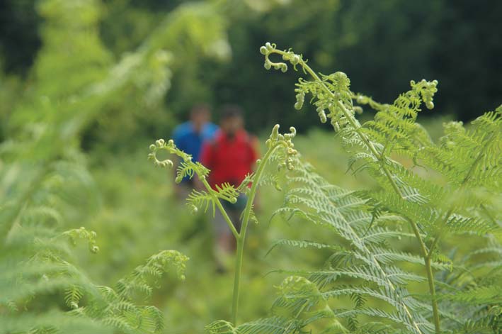 kungul dagi Yuvacık Mavi Kayalar Kahvaltı Restoran