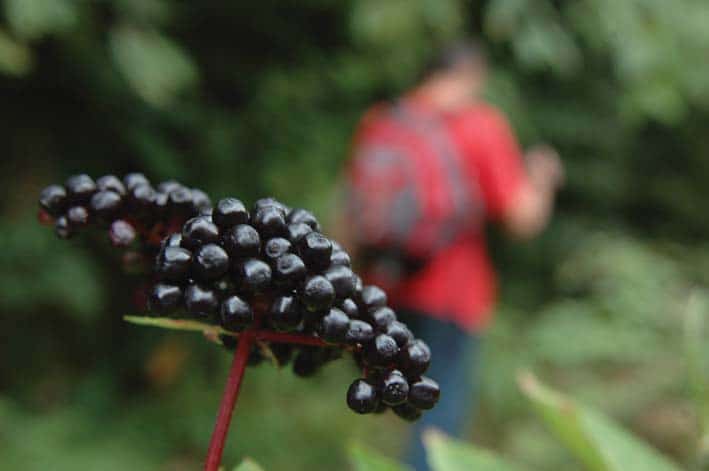 simon sirt Yuvacık Mavi Kayalar Kahvaltı Restoran
