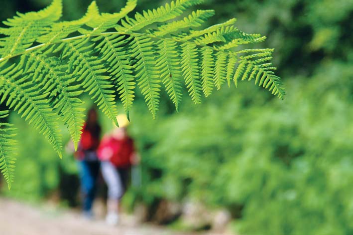 tepecik inonu yaylasi Yuvacık Mavi Kayalar Kahvaltı Restoran