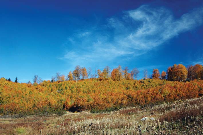 tepecik kazandere Yuvacık Mavi Kayalar Kahvaltı Restoran